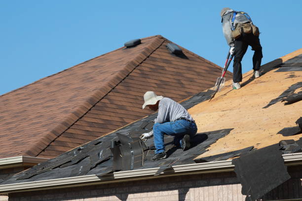 Best Roof Coating and Sealing  in Homer Glen, IL